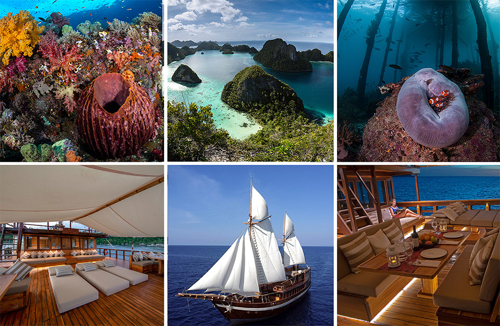 Raja Ampat - Amanda Delaforce. Coral Triangle and amazing biodiversity